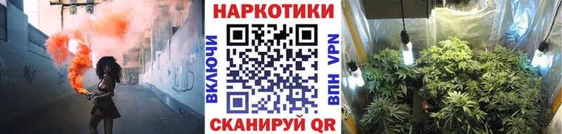Где продают наркотики Великий Новгород Конопля  А ПВП  Псилоцибиновые грибы  КОКАИН  МЕФ 