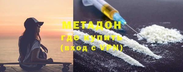 прущие грибы Богданович