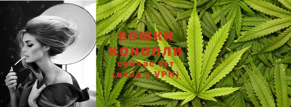 jwh Богородицк