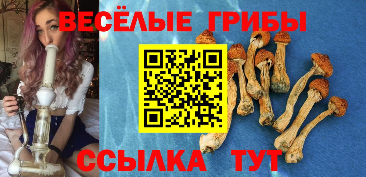 Галлюциногенные грибы MAGIC MUSHROOMS  Вход с VPN  Великий Новгород 